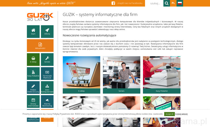 guzik-systemy-informatyczne